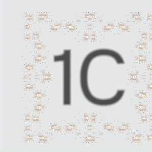 1С